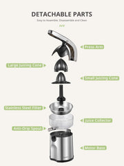 Electric juicer