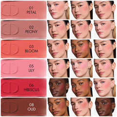 DIOR Forever Blush Soft Filter